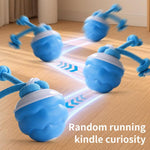 Interactive Dog Toys with Motion Activated, Squeaky Dog Toy Active Rolling Ball