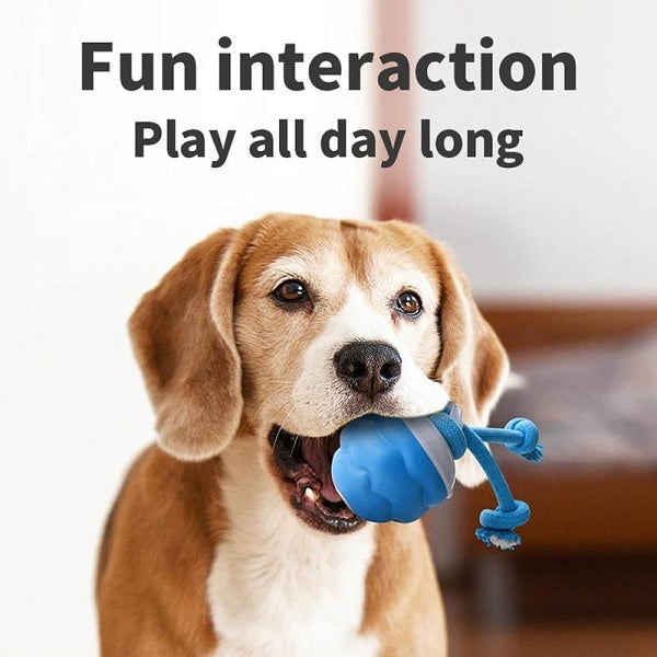 🐶Interactive Dog Toys with Motion Activated, Squeaky Dog Toy Active Rolling Ball