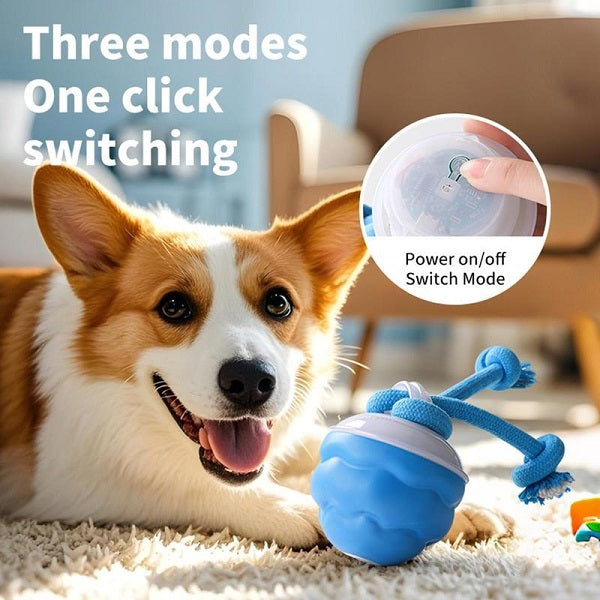 🐶Interactive Dog Toys with Motion Activated, Squeaky Dog Toy Active Rolling Ball