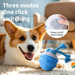 Interactive Dog Toys with Motion Activated, Squeaky Dog Toy Active Rolling Ball